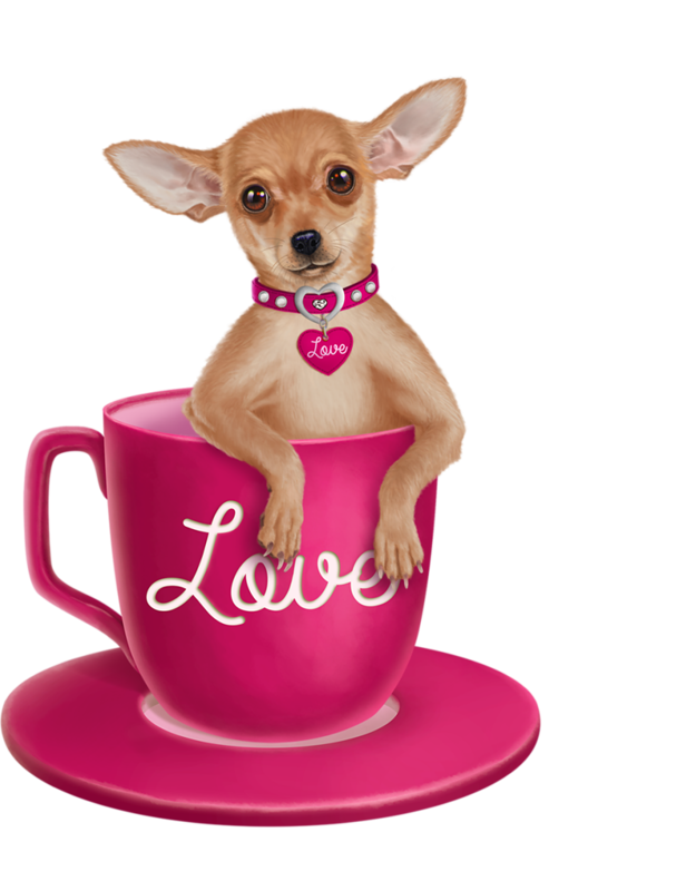 https://rareteacups.com/wp-content/uploads/2021/11/transparent-dog-chihuahua-pink-puppy-teacup-chiensdogpuppieswallpapersdessin5e5dccc4dae5e7.5250889315832055728966.png